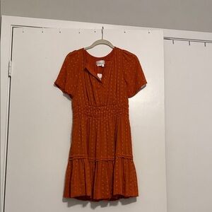 Anthropologie Somerset Terra Cotta Orange Swiss dot Mini Dress NWT